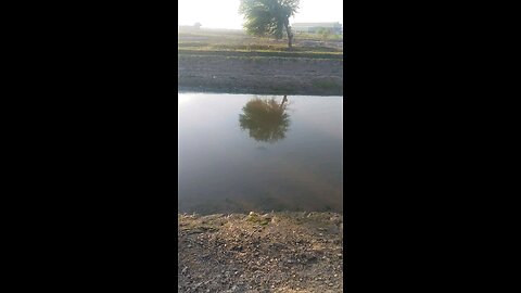 water canal in village