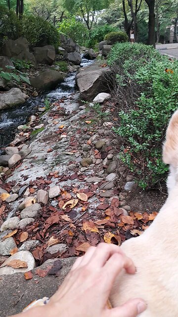 20250909. God Is Love.