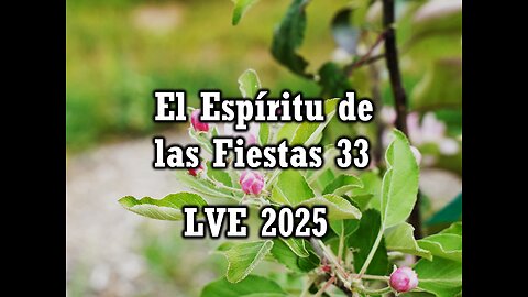 El Espíritu de las Fiestas 33