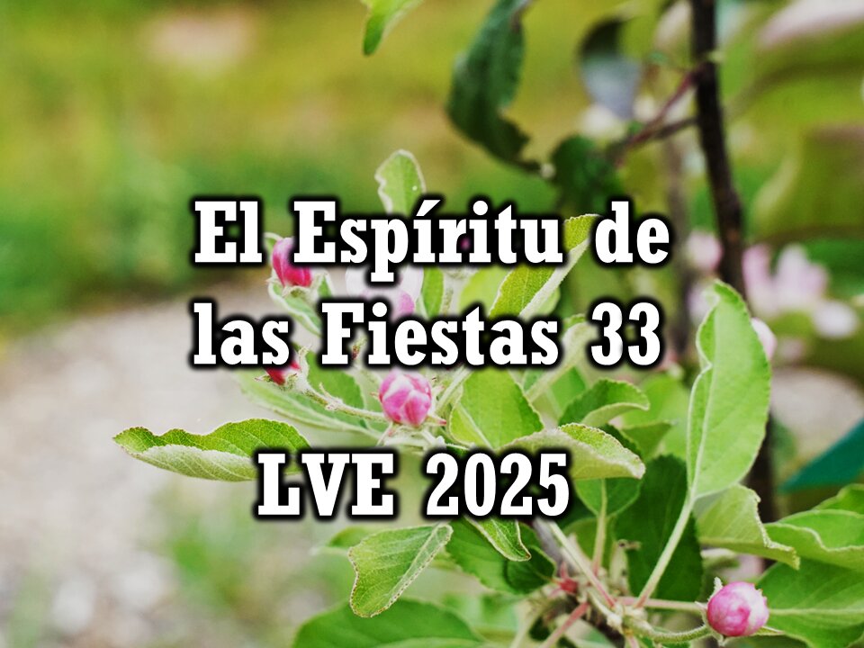 El Espíritu de las Fiestas 33