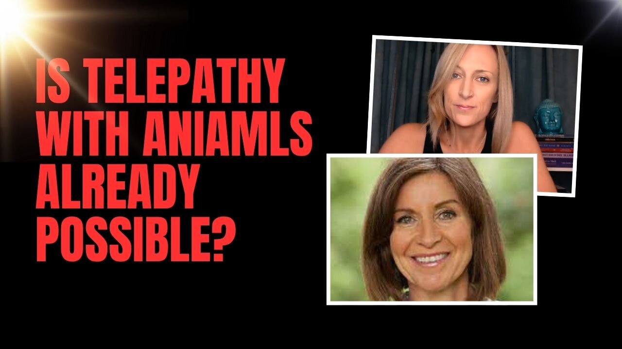 Is Telepathy With Animals Already Possible?