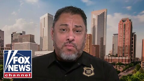 'JUDICIAL ACTIVISM': Border expert slams federal judges for stymying Trump immigration crackdown