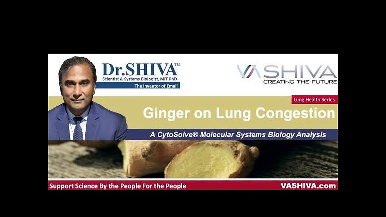 Dr.SHIVA™: Ginger on Lung Congestion. A CytoSolve® Analysis(02/24)