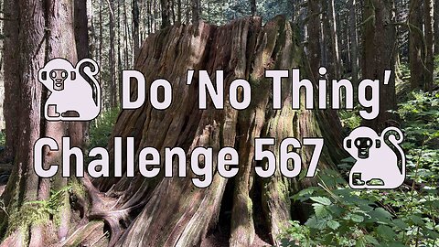 🐒 Do 'No Thing' Challenge 567 🐒 New Earth Creations #waterfalls #naturemeditation #naturelovers