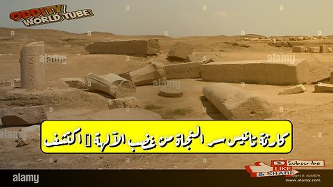 كارثة تانيس: سر النجاة من غضب الآلهة؟ اكتشف! #تانيس #مصر_القديمة #غموض