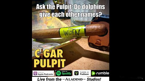 Ask the Pulpit: Do Dolphins Give Each Other Names?