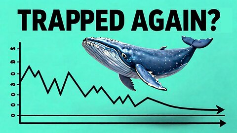 Crypto Whales Are Playing You!!!
