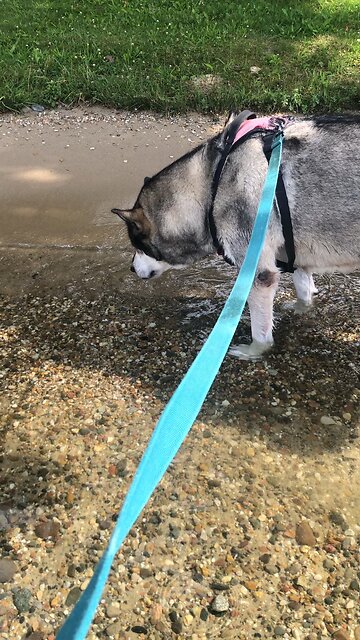 Wednesday July 23, Blessed are those who trust in the Lord.