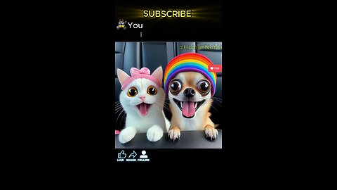 ℹ️ When Chihuahua's Dad's Tired Of His Tricks