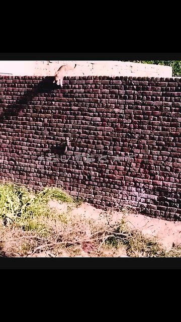 NEWSMAX2 LIVE | Real News for Real People? 🎉Happy birthday everyone