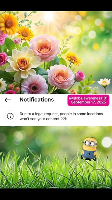 Instagram received legal notice not to show my content in some locations
