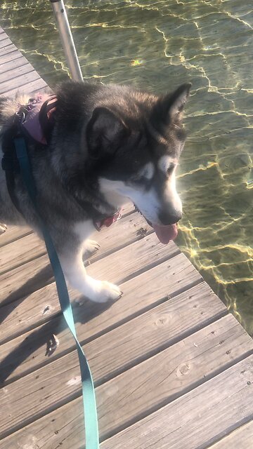 Thursday October 16, Obey the government for God is the one who put it there.