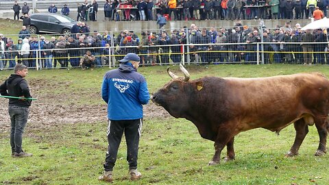 Dar Mar Kod Muje Hrvačića Vlasinje 2025