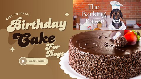 Baking Treats for Your Dogs on their Birthday-Barking Baker #3