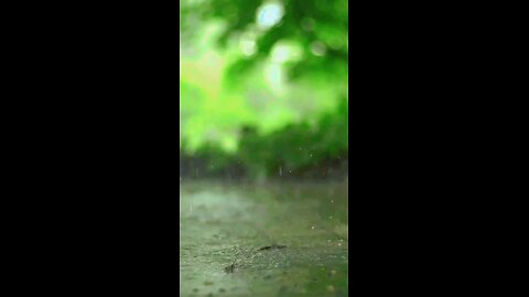 barish bhi yome ashor nazil hoi they#hazratali #madeena #imamhassan #makkah #imamhuseen #dawateislam
