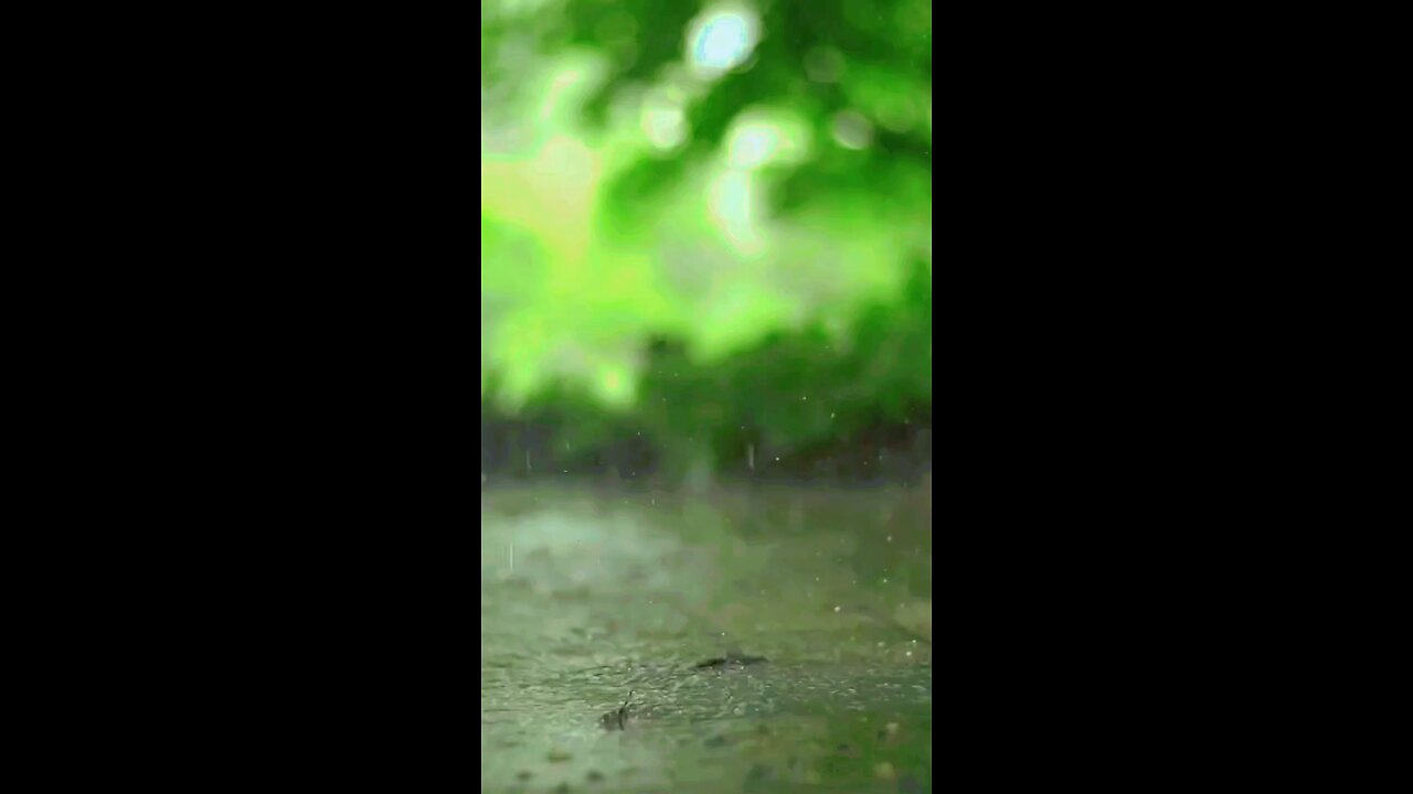 barish bhi yome ashor nazil hoi they#hazratali #madeena #imamhassan #makkah #imamhuseen #dawateislam