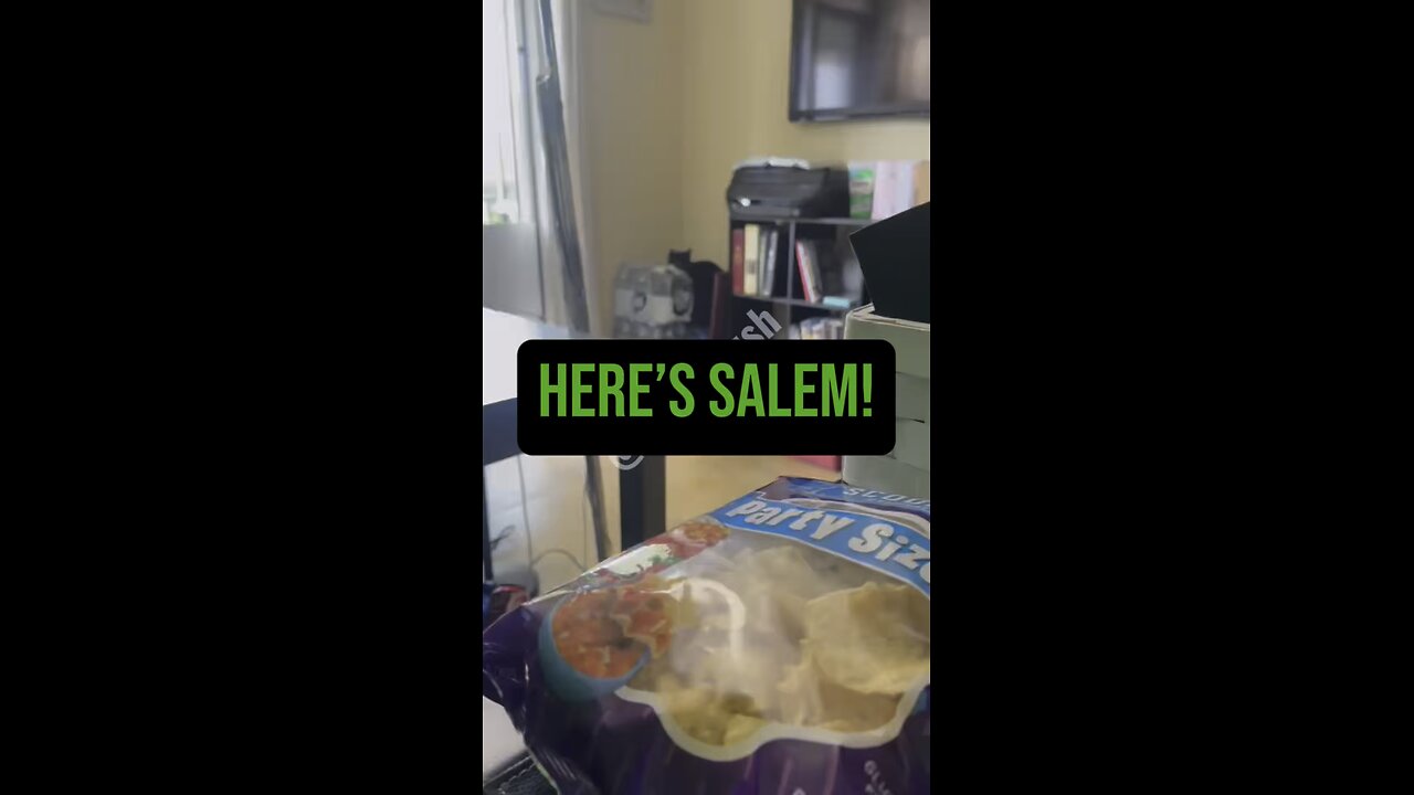 Salem With Plastics? 🤔