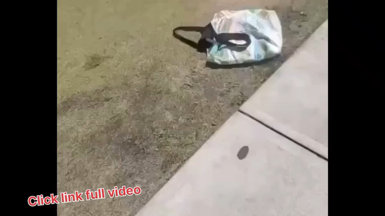 Active shooter reported at Florida State University, multiple victims already confirmed.