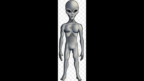 Is the US government working with grey aliens?