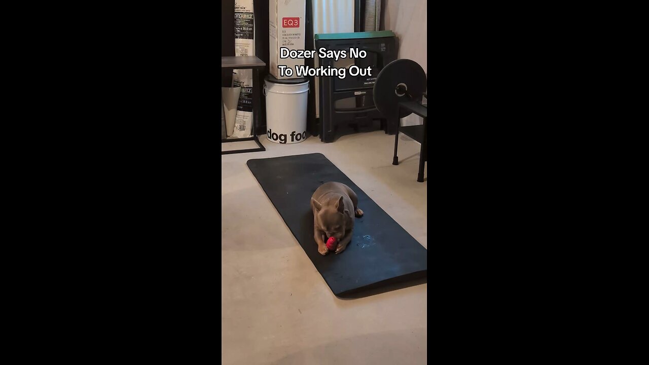 He's Just a Bully