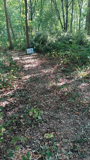 The Wilderness Gathering field archery course