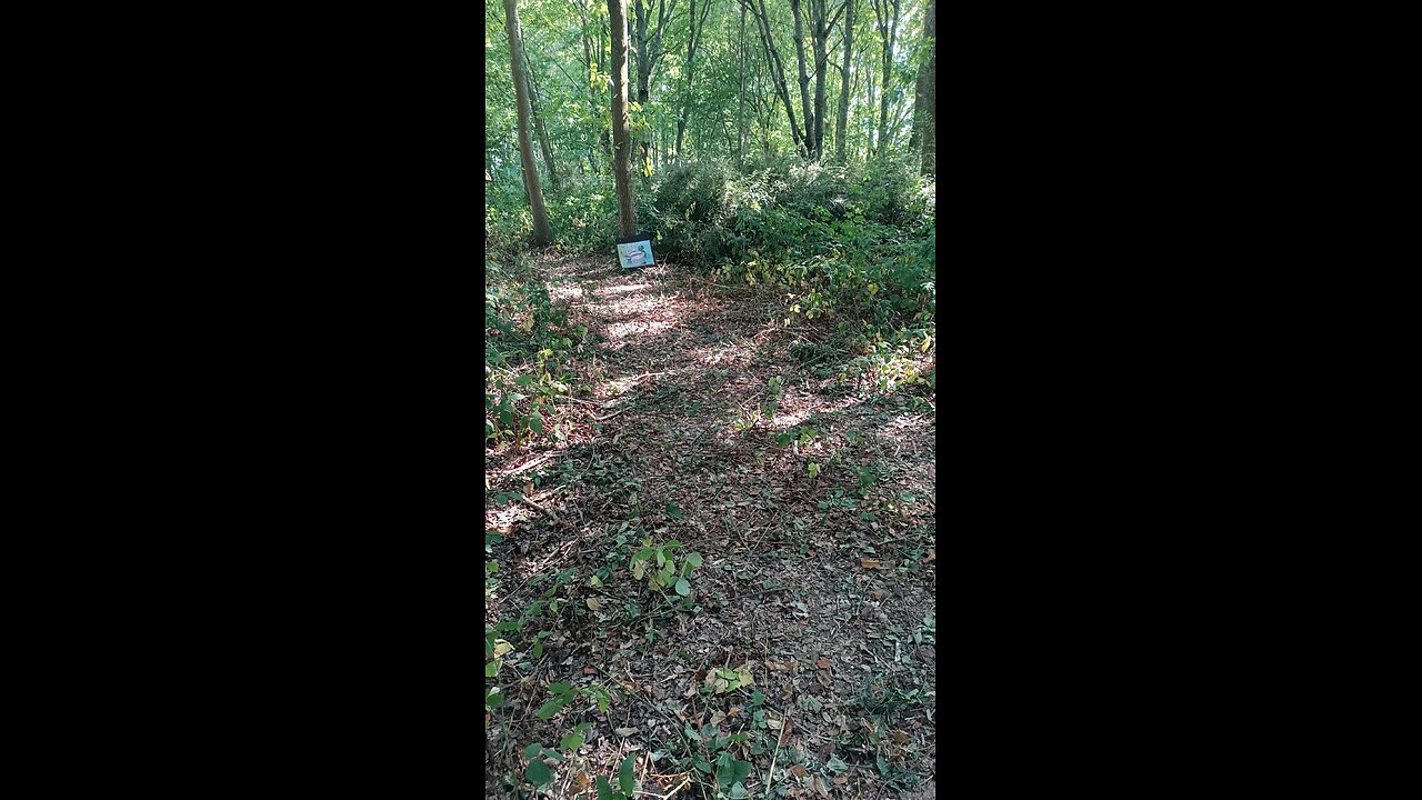 The Wilderness Gathering field archery course