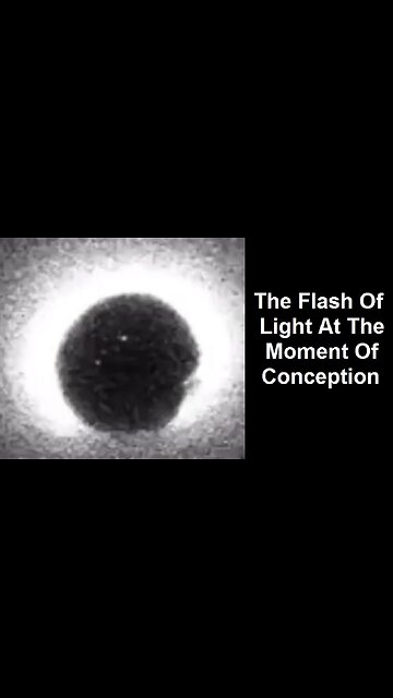 The Flash Of Light At The Moment Of Conception
