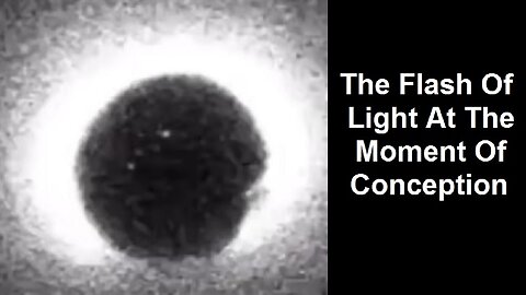 The Flash Of Light At The Moment Of Conception