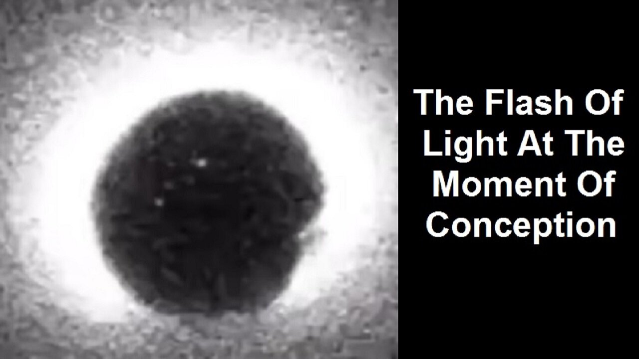 The Flash Of Light At The Moment Of Conception