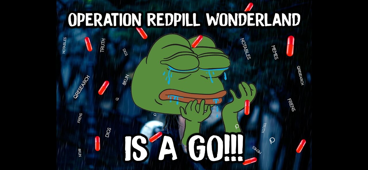 THE STORM - REDPILL WONDERLAND - SONG JUST FOR YOU