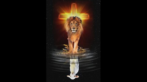 Should have feared the LAMB