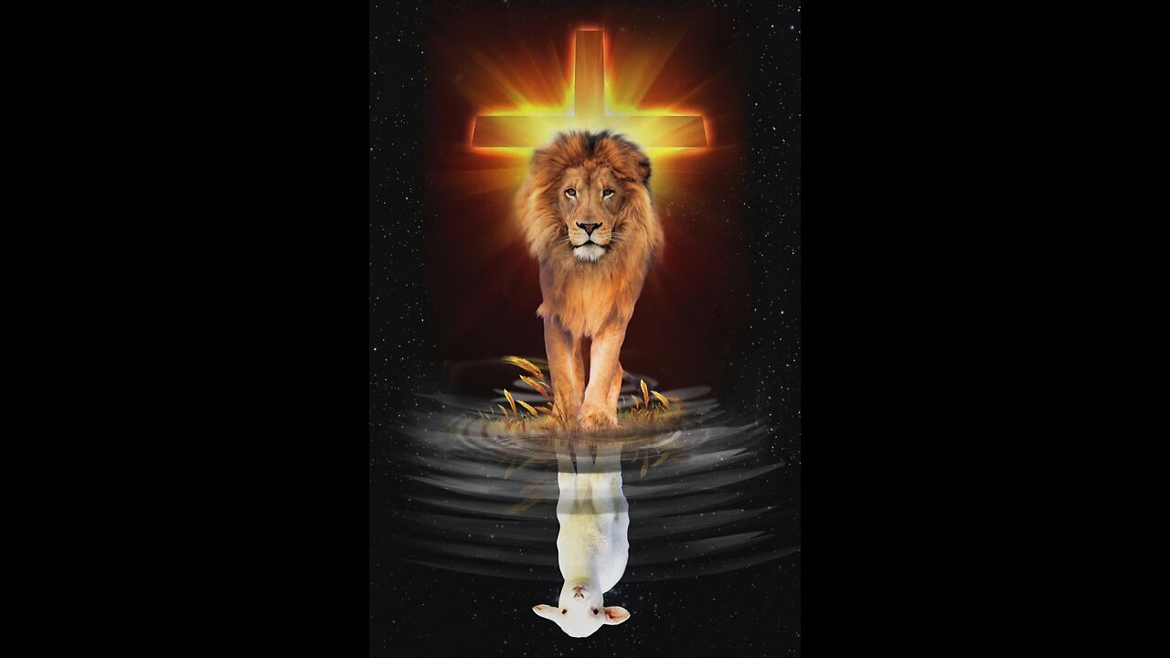 Should have feared the LAMB