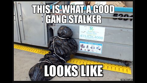 ~We Gang Stalk You For Your Freedom~
