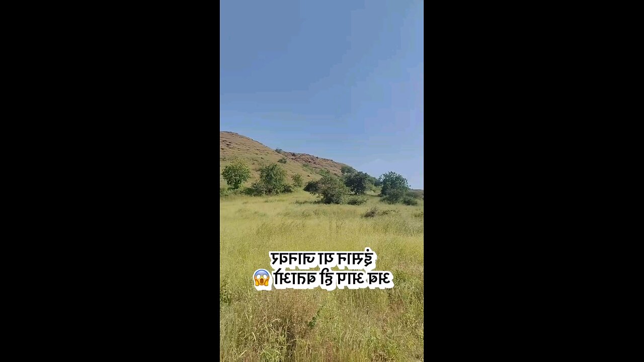 giant Man found in India