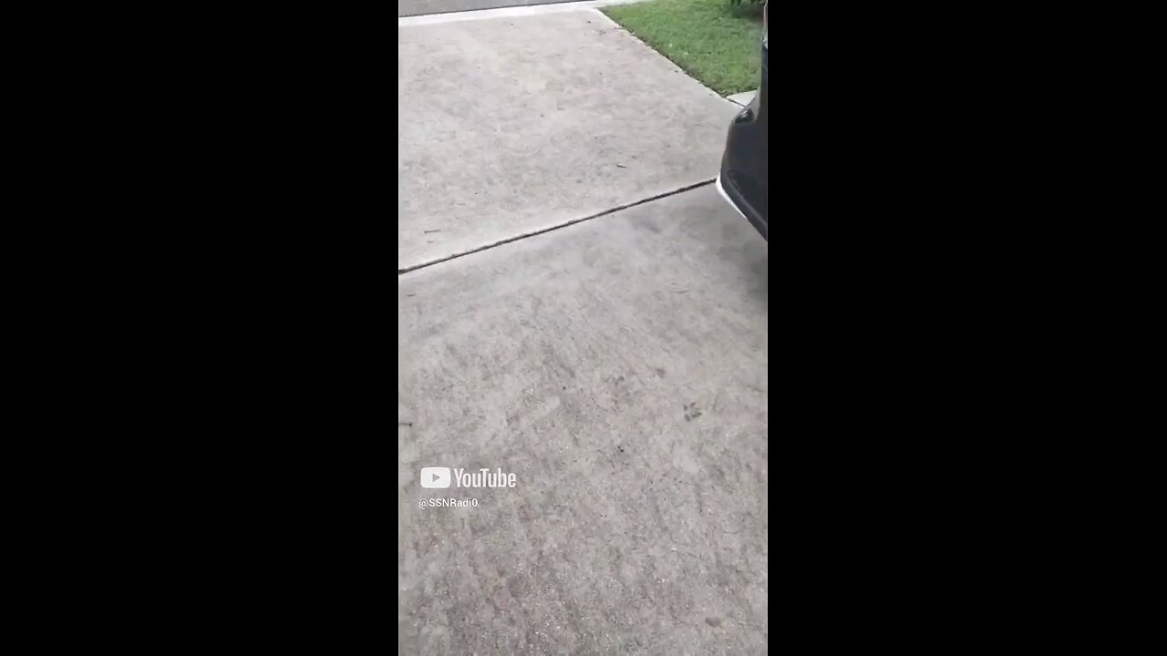 Hood Gators Dodging Hood Niggas 🗣️🐊