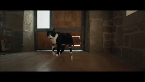Дорогая, я уменьшаюсь