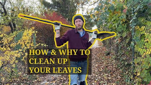 STOP RAKING! Genius Ways to Use Leaves in Your Garden (Fall Cleanup Hack!)
