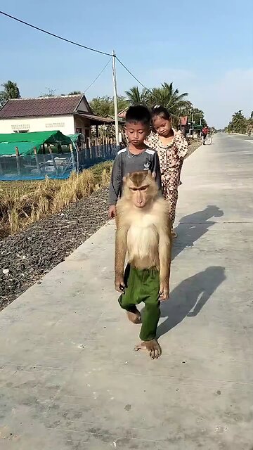 Best SokYaa, OG, Pao & Mom Are Videomous Around The World #shorts #anime #trend #edit