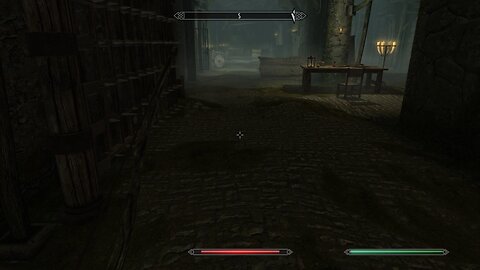 Skyrim | NPC Fail