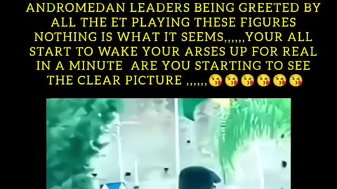 Andromedan Leaders