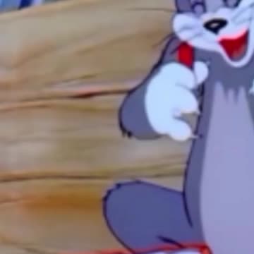 funny funny videos funny jokes funny animals funny memes funny movies funny bone