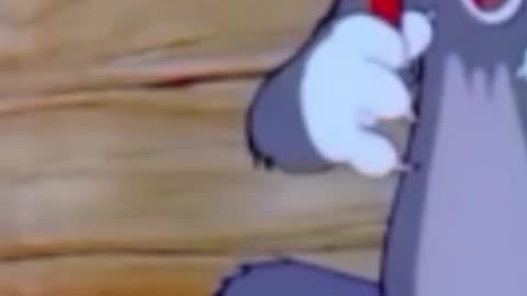 funny funny videos funny jokes funny animals funny memes funny movies funny bone