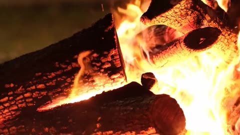 Daily Horoscope | Aries 🌟