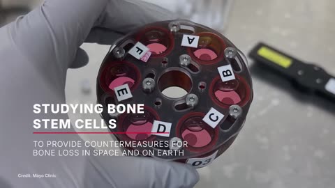 Научный запуск на 33-й грузовой миссии NASA SpaceX на космическую станцию