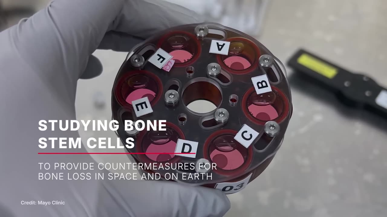 Научный запуск на 33-й грузовой миссии NASA SpaceX на космическую станцию