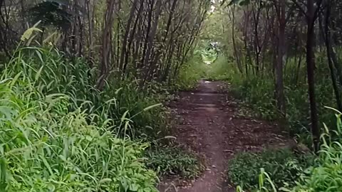 Nature