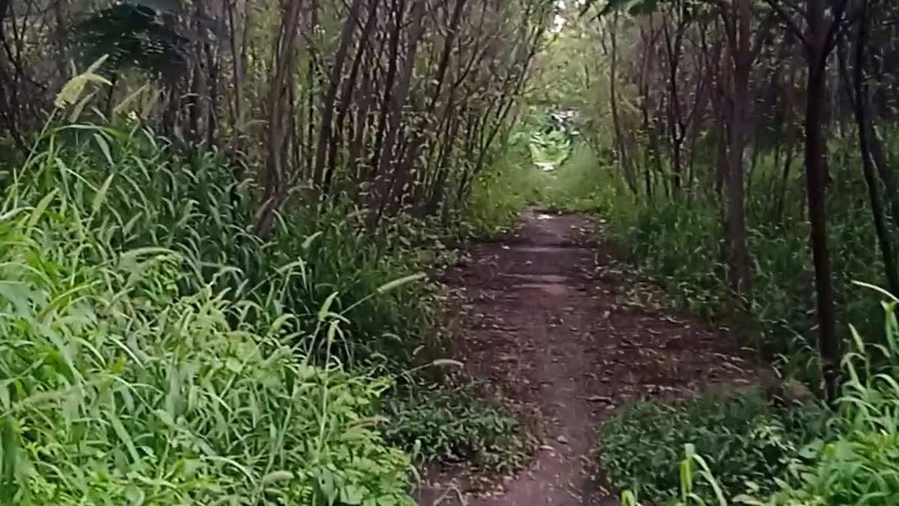 Nature