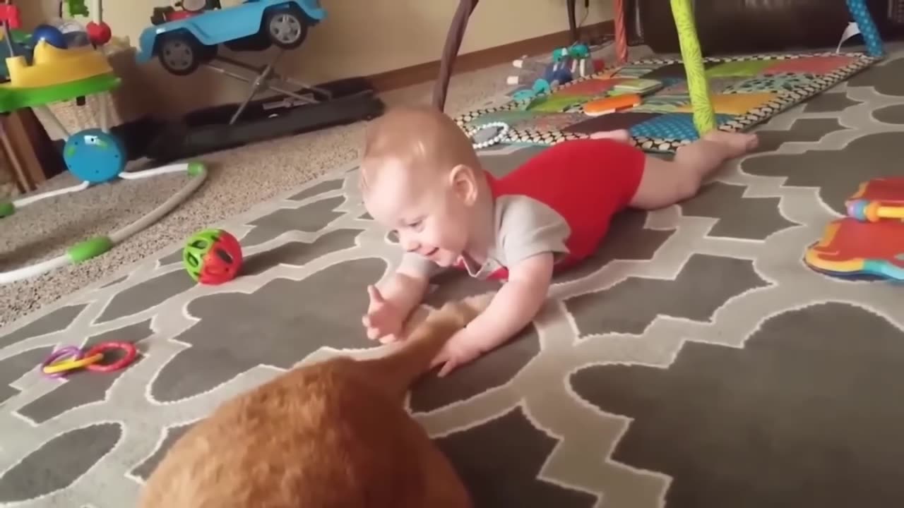 When Your CAT Become a Special Friend 👶❤️🐱I| Cute Cats and Human