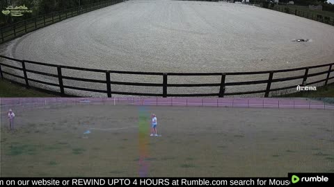 Mousehold Farm All Weather Riding arena