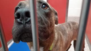 VID_20251126_174319615